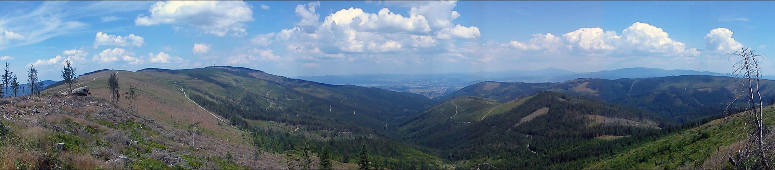 Magurka Radziechowska, Skrzyczne